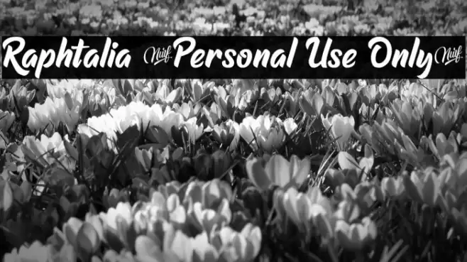 Raphtalia (Personal Use Only) Font examples