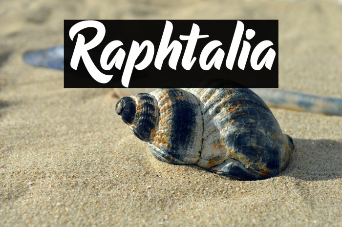 Raphtalia Example 1