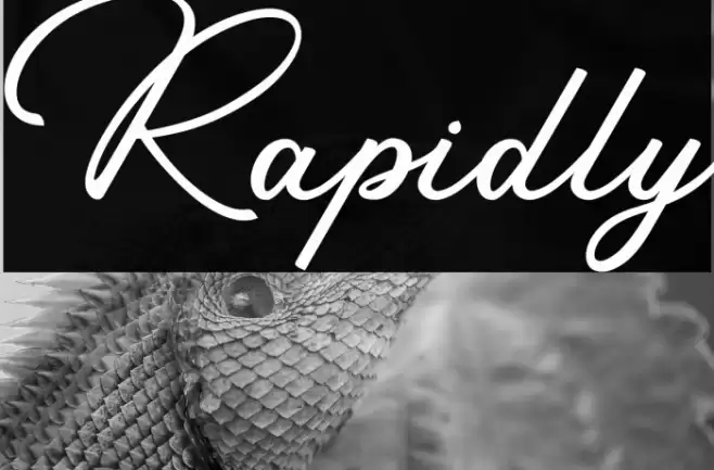 Rapidly Font examples