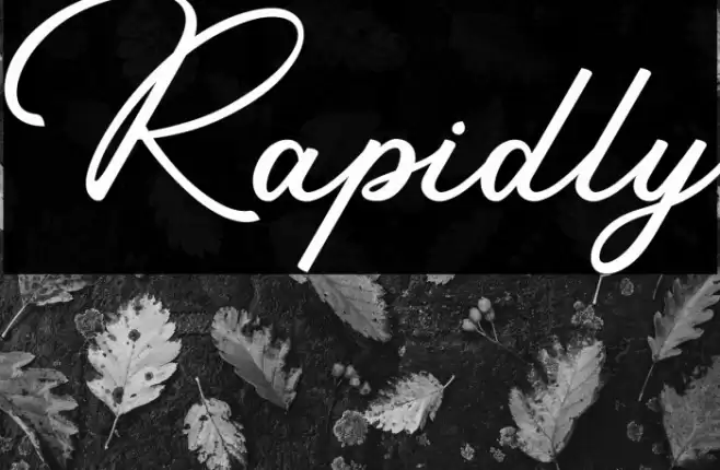 Rapidly Font examples