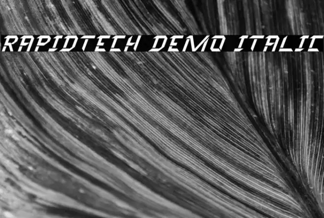 Rapidtech Demo Italic Font examples