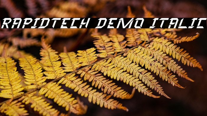 Rapidtech Demo Italic Example 2