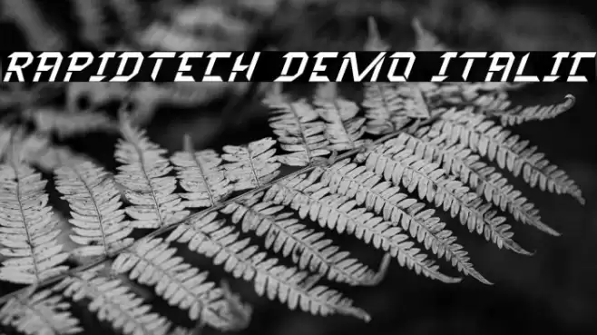 Rapidtech Demo Italic Font examples
