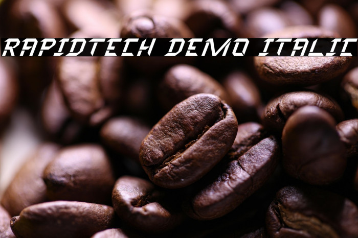 Rapidtech Demo Italic Example 3