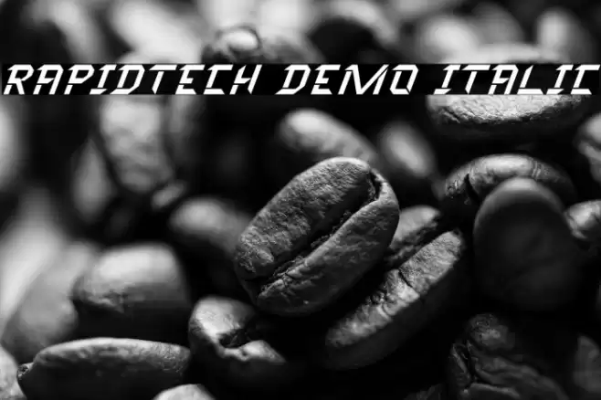 Rapidtech Demo Italic Font examples
