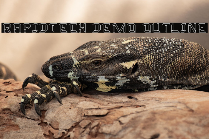 Rapidtech Demo Outline Example 3