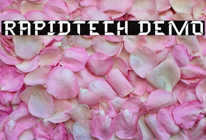 Rapidtech Demo Example 1