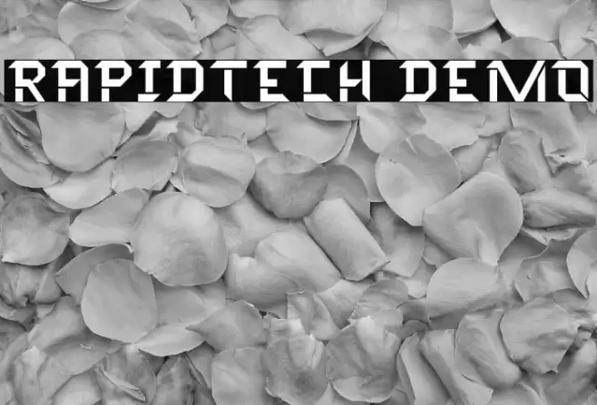 Rapidtech Demo Font examples