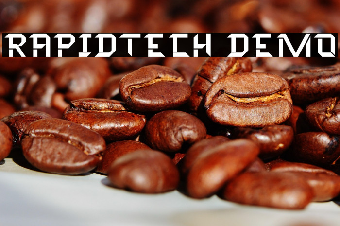 Rapidtech Demo Example 2