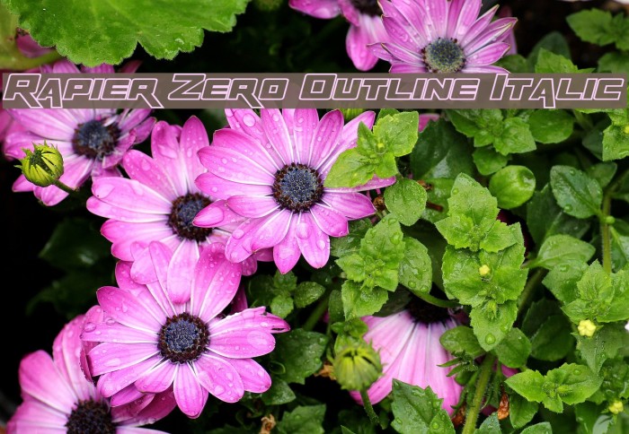 Rapier Zero Outline Italic Font examples