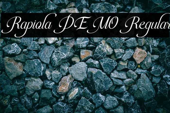 Rapiola DEMO Regular Example 1