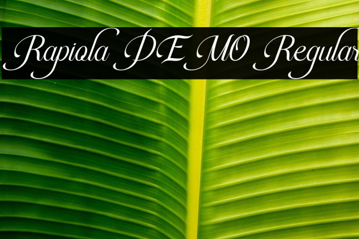 Rapiola DEMO Regular Example 3