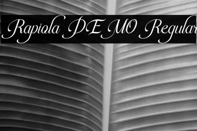 Rapiola DEMO Regular Caratteri examples