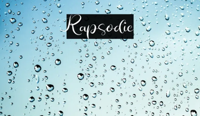 Rapsodie Example 2