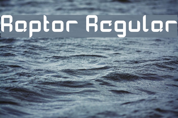 Raptor Regular Font examples