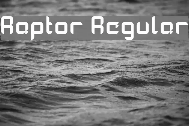 Raptor Regular Font examples