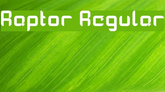 Raptor Regular Font examples