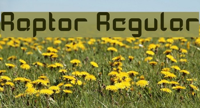 Raptor Regular Font examples