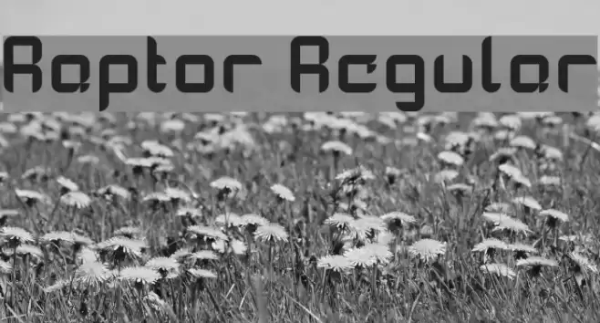 Raptor Regular Font examples