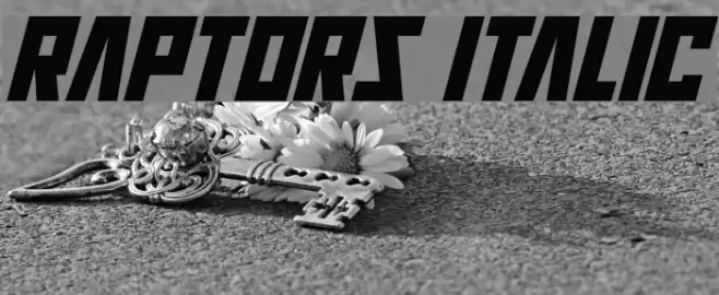 Raptors Italic Font examples