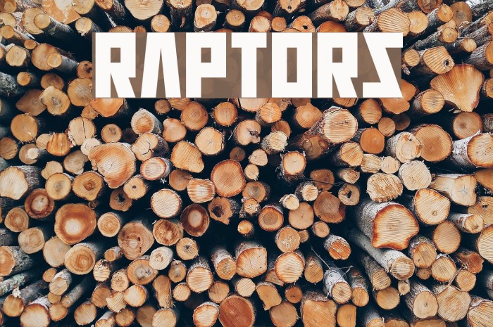 Raptors Font examples