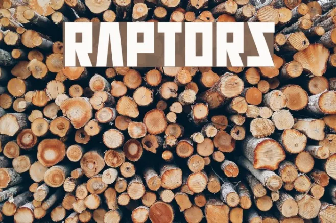 Raptors Example 1