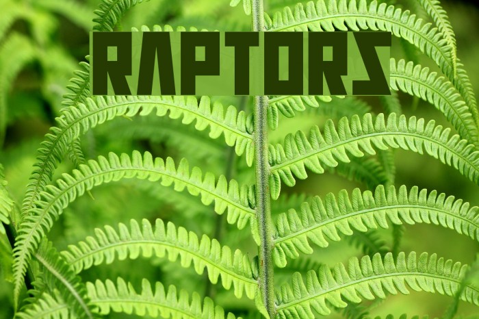 Raptors Font examples