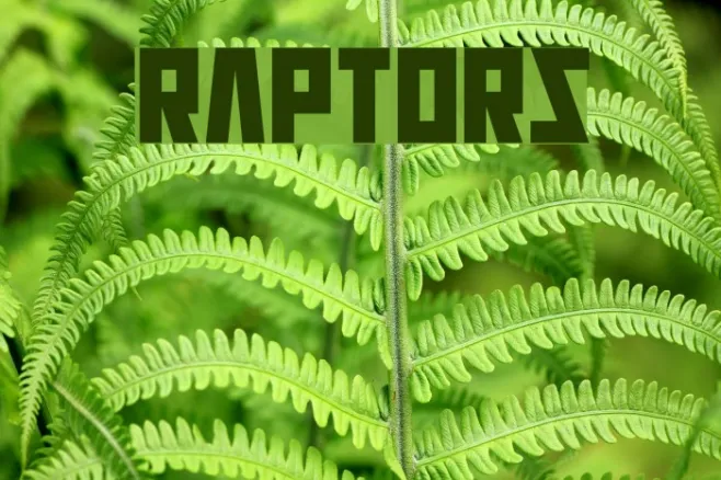 Raptors Example 2
