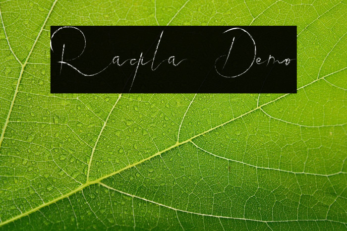 Raqila Demo Example 1