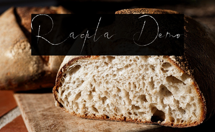 Raqila Demo Example 2