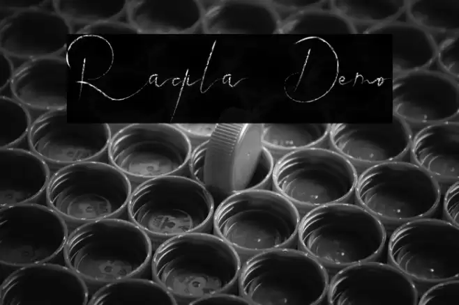 Raqila Demo Font examples