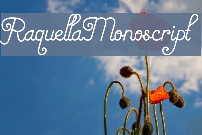 RaquellaMonoscript Font examples