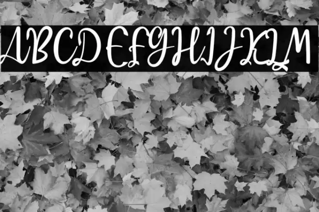 Raquen Font examples