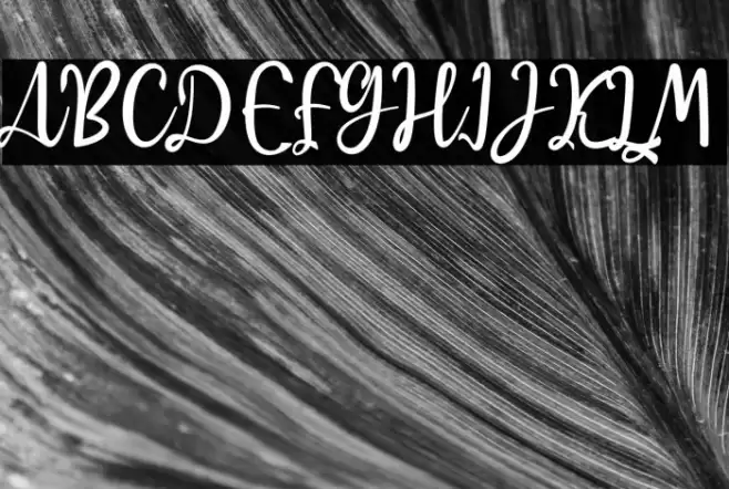 Raquen Font examples