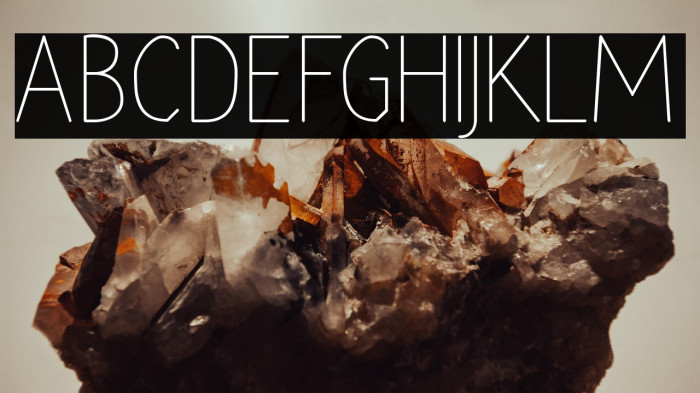 Rara Dolor Example 2