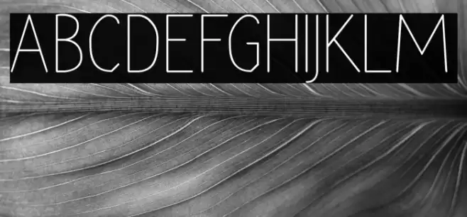 Rara Dolor Font examples