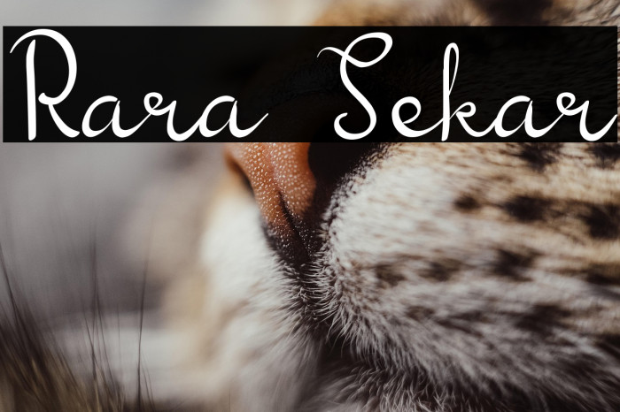 Rara Sekar Example 3