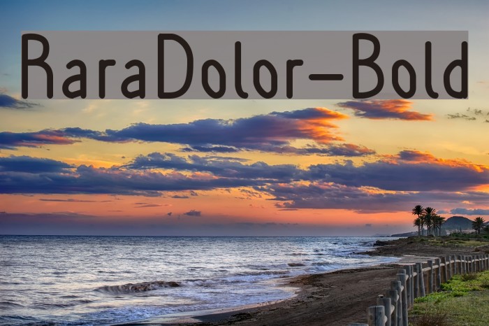 RaraDolor-Bold Font examples