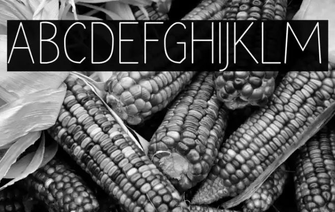 RaraDolor Font examples