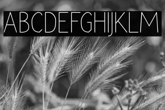 RaraDolor Font examples