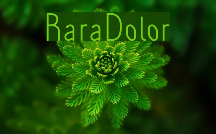 RaraDolor Font examples