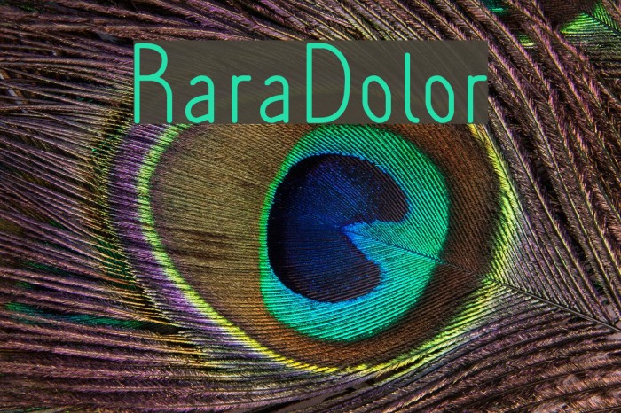 RaraDolor Font examples