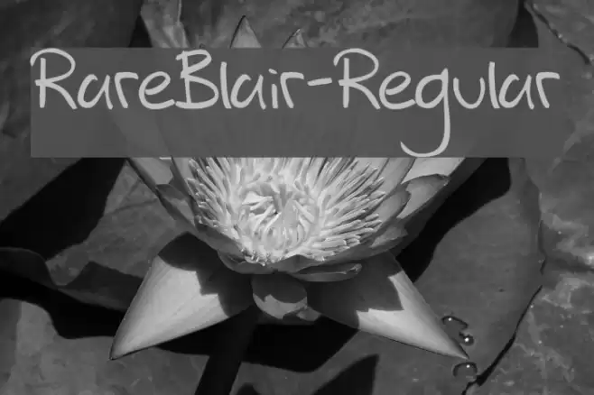 RareBlair-Regular Font examples