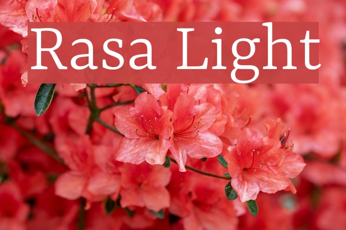 Rasa Light Font examples