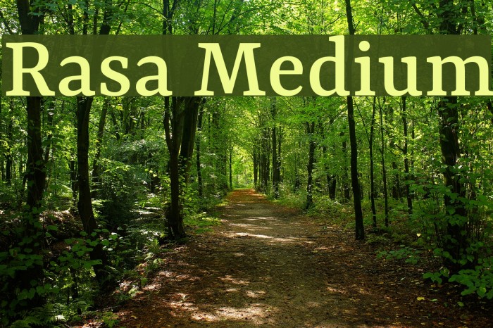 Rasa Medium Font examples