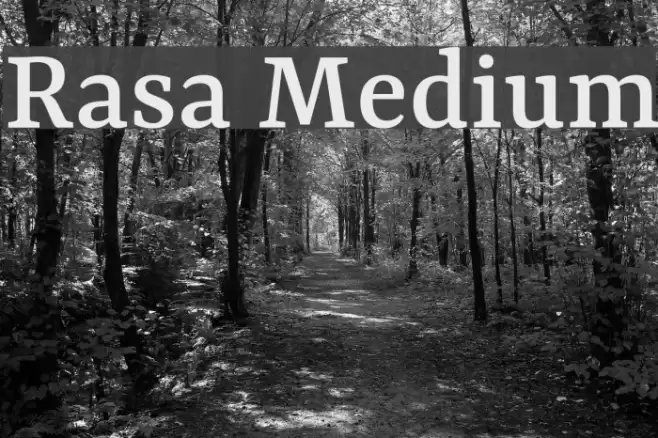 Rasa Medium examples