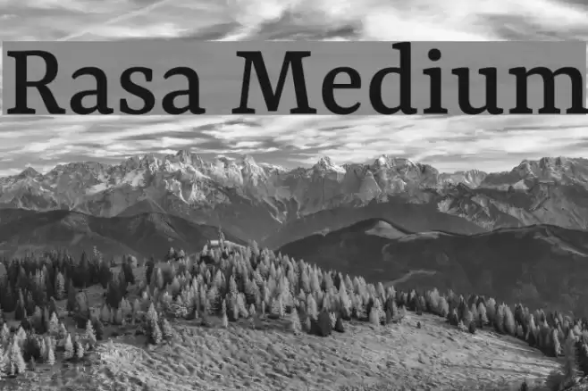 Rasa Medium examples
