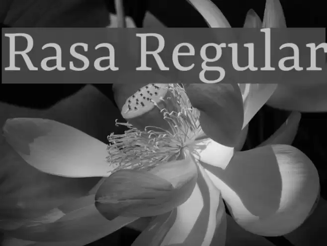 Rasa Regular Font examples