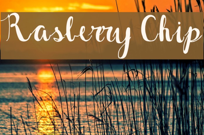 Rasberry Chip Font examples