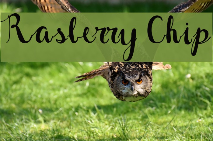 Rasberry Chip Font examples
